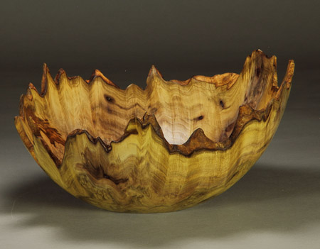 #35. Jones Tulip Poplar Burl