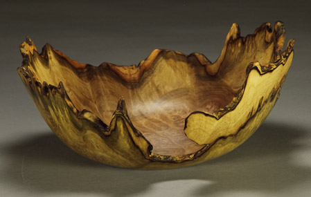 #40. Jones Tulip Poplar Burl