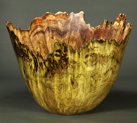 #52. Jones Tulip Poplar Burl  19