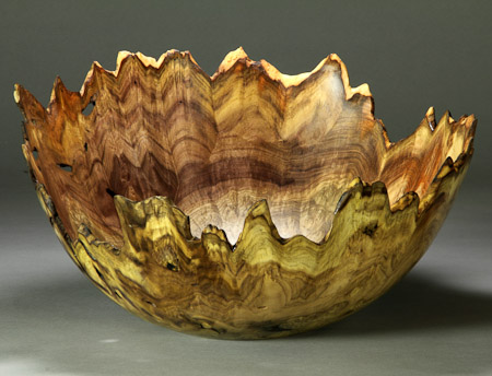 #53. Jones Tulip Poplar Burl  13 1/2