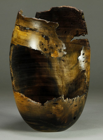 #63.   Jones Tulip Poplar Burl  8