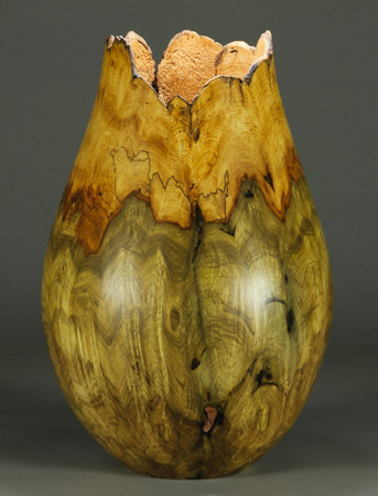 #66.   Jones Tulip Poplar Burl   10 1/2