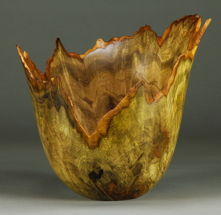 #67. Jones Tulip Poplar Burl   11