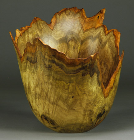 #67. Jones Tulip Poplar Burl   11